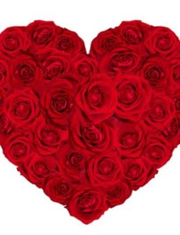 Ich wäre gern wie eine Hausfrau - Bremerhaven