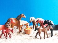 Playmobil Island-Ponys mit Fohlen und Zubehör - Leverkusen