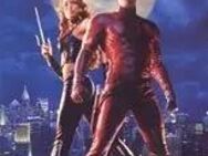 Daredevil - DVD, von Mark Steven Johnson FSK 12 - Verden (Aller)