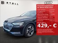 Audi e-tron, 50 quattro basis Plus, Jahr 2021 - Binzen