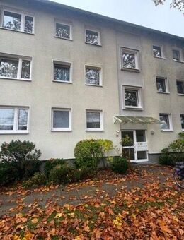 Schöne, helle Eigentumswohnung, 3-ZKBB im Erdgeschoss (provisionsfrei) - Bielefeld