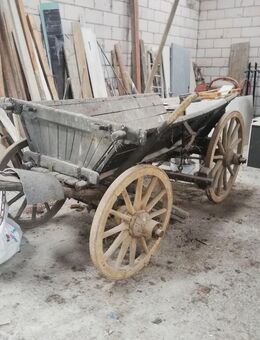 Wunderschöner alter Pferdewagen für ein Museum, Sammlung, oder eine Ausstellung - Nidderau