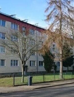 Sehr schöne 3-Raum-Wohnung in ruhiger Wohnlage - Brunn (Mecklenburg-Vorpommern)