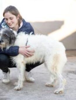 süße Charly sucht eigene Familie - München