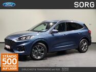 Ford Kuga, 2.5 ST-Line X, Jahr 2024 - Fulda