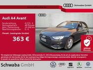 Audi A4, Avant advanced 40TDI qu 8-fach, Jahr 2024 - Gersthofen