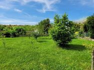 Exklusives Smart-Home-Einfamilienhaus mit Aufzug in Ormesheim - Mandelbachtal