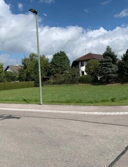 Schöne Doppelhaushälfte in Rammingen mit Baugrundstück - Rammingen (Baden-Württemberg)