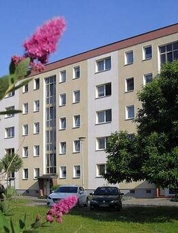 Lichtdurchflutete 2,5-Raum-Wohnung mit großem Balkon - Großenhain