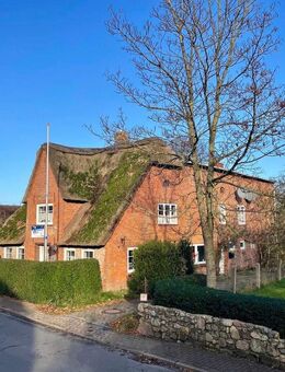 Grundstück mit Altbestand, 390m² Wohn- und Gewerbefläche + 2 Ferienwohnungen genehmigt - Borgsum