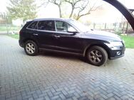 Audi Q5 2.0 TDI Quattro S-Tronic im top Zustand - Alt Tucheband