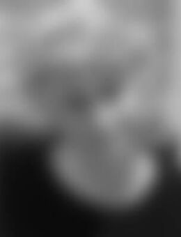 Pet*** - Hochheim (Main)