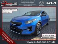 Kia XCeed 1.6 CRDi Eco-Dynamics+ PLATINUM EDITION - Bad Kreuznach