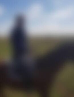 Ste*** - Raguhn-Jeßnitz Schierau