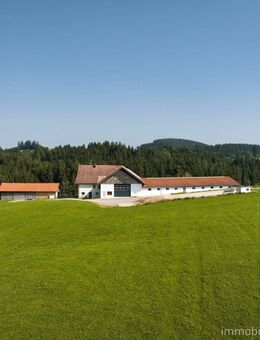 Bauernhof in Alleinlage mit 135.359 m ² Wiesen und Wald bei Kempten - Wiggensbach