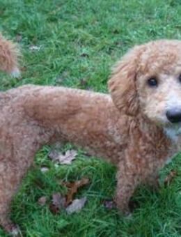 Kristof sucht seine Menschen - Lippetal