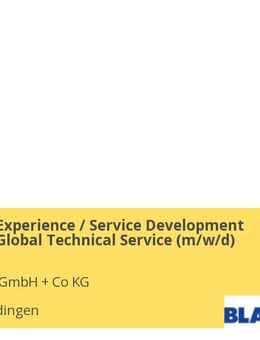 Consumer Experience / Service Development Manager - Global Technical Service (m/w/d) - Oberderdingen