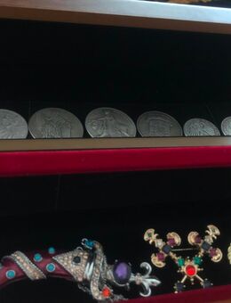 Schmuck Sammlung Brosche und munze in Kaste Versand uberal - Passau