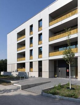 Nur für Studierende: WG-Zimmer auf dem GESOcampus - Berlin