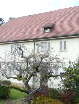 Historisches, älteres Mehrfamilienhaus und zwei Baugrundstücken in 76593 Gernsbach - Gernsbach
