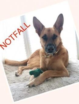 Pepe - NOTFALL braucht starke Menschen - Wedel