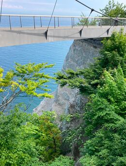 Suche Leute für gemeinsame Unternehmungen - Weimar