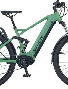 Prophete E-Bike Mountainbike Stack 5.0, 10 Gang Shimano, Kettenschaltung, Mittelmotor, 720 Wh, (Akku-Ladegerät), Pedelec, Elektrofahrrad für Damen u. Herren, MTB