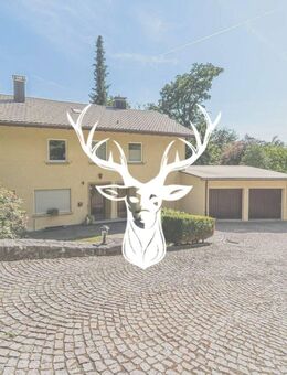 Großzügig geschnittene Wohnung in ruhiger Lage von Laufenburg zu vermieten - Laufenburg (Baden)