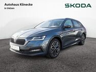 Skoda Octavia, 1.5 TSI Combi Ambition, Jahr 2021 - Uelzen