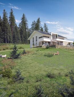 Modernes Traumhaus der Extraklasse mit einmaligem Grundstück! BIEN-ZENKER - Wenzenbach