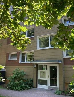 Nette Nachbarn gesucht: ansprechende 3-Zimmer-Wohnung - Braunschweig