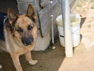 Marko sucht eigene Familie - Neuss