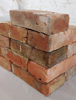 Garten Gestaltung Ruinen mauer historisch Baustoff Ziegel Terrakotta echt Stein Reichsformat Rückbau - Halle (Saale)