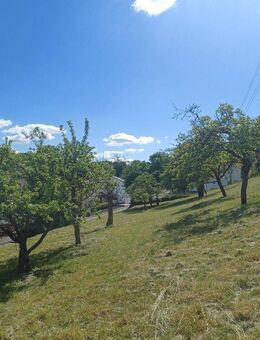 Bauernhaus mit großzügigem Grundstück, ausbaubare Tenne und möglichen Bauplatz - Nünschweiler