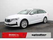 Skoda Octavia, 1.5 TSI Selection, Jahr 2024 - Würzburg