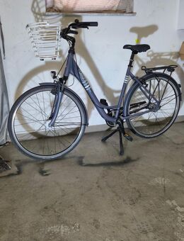 Raleigh Unico Life 28Zoll Citybike Damen/Herren ,Shimano 7-Gang - Köln
