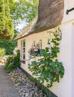 Reetdachidylle mit Charme und Privatsphäre - Hörup