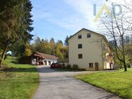 Landwirtschaftliches Anwesen auf ca. 7.700 m² Grund - mit Wiese, Mehrparteienhaus und vielem mehr! - Regen