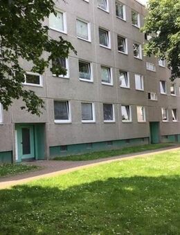 Hier lässt es sich aushalten: individuelle 2-Zimmer-Wohnung - Kassel