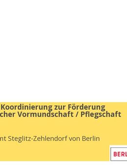 Bezirkliche Koordinierung zur Förderung ehrenamtlicher Vormundschaft / Pflegschaft (m/w/d) - Berlin