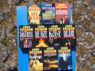 John Grisham Justiz-Thriller Bestseller Hardcover 12 Bücher zus. 10,- - Flensburg