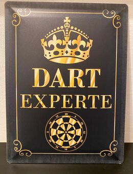 METALLSCHILD DART EXPERTE - Hagen (Teutoburger Wald)
