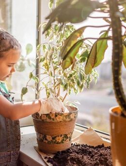 Über den Dächern der Nürnberger Oststadt "Modern Living Steinplatte" Lifestyle Wohnen zwischen Steinplatte und Wöhrd... - Nürnberg
