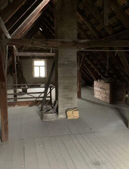 Zu sanierendes Landhaus mit großem Garten und Grundstück ( Kleiner Dreiseitenhof ) - Schwepnitz