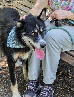 VIOLA ist ein sanftes Mädchen ♥️ - München