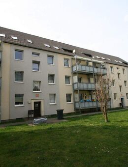 Nachmieter gesucht! - Dessau-Roßlau