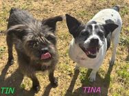 Süsses Duo Tin & Tina! - Althütte