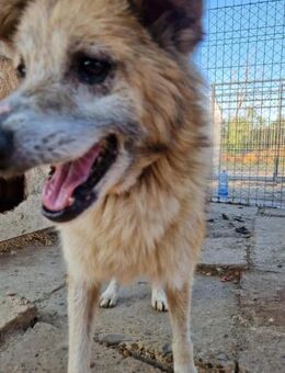 Colin; ein gestohlenes Jahrzehnt! - Geilenkirchen