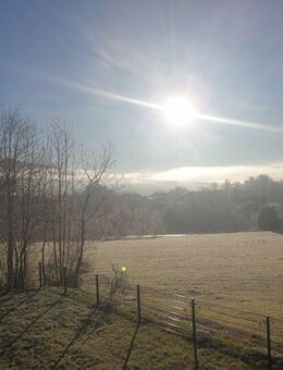 Spaziergang oder Unternehmung - Kitzingen