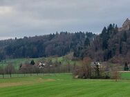 Nähe Freiburg denkmalgeschützter Bauernhof mit Wohnhaus - Sexau